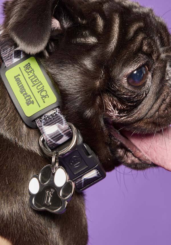 Beetlejuice: Sandworm | COLLAR*