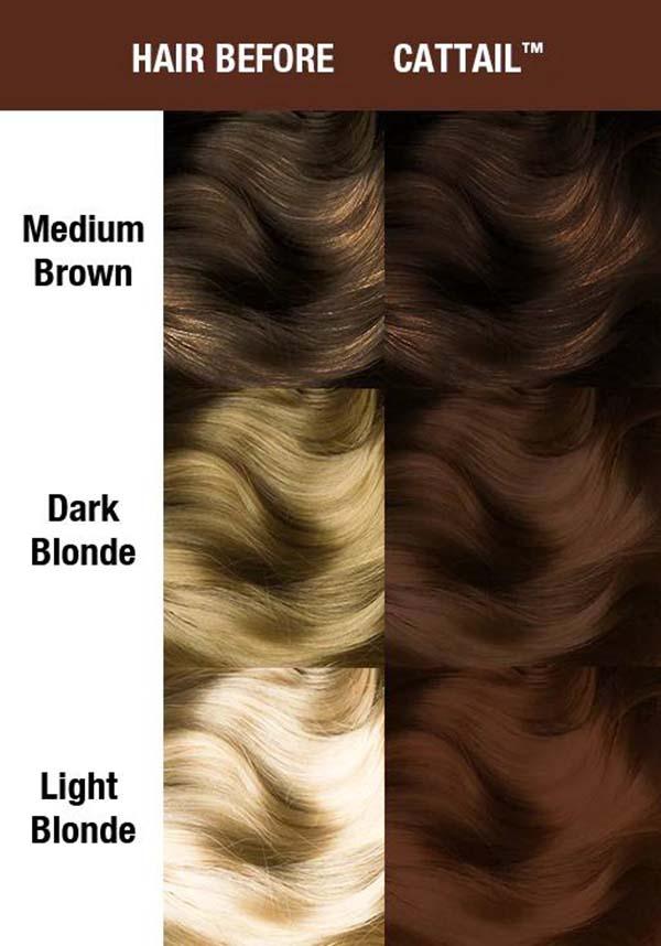 Cattail | CLASSIC COLOUR - Beserk - all, brown, clickfrenzy15-2023, cosmetics, discountapp, dye, dyes, fp, goth, hair, hair brown, hair color, hair colour, hair colours, hair dye, hair dyes, labelvegan, manic panic, manic panic hair, MP3294, nov21, R171121, steampunk, vegan