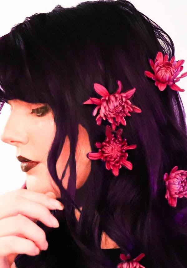 Deadly Nightshade | CLASSIC COLOUR - Beserk - all, black, clickfrenzy15-2023, cosmetics, discountapp, fp, goth, gothic cosmetics, hair, hair colour, hair colours, hair dye, hair dyes, hair purple, hair violet, labelvegan, manic panic, manic panic hair, mar21, vegan