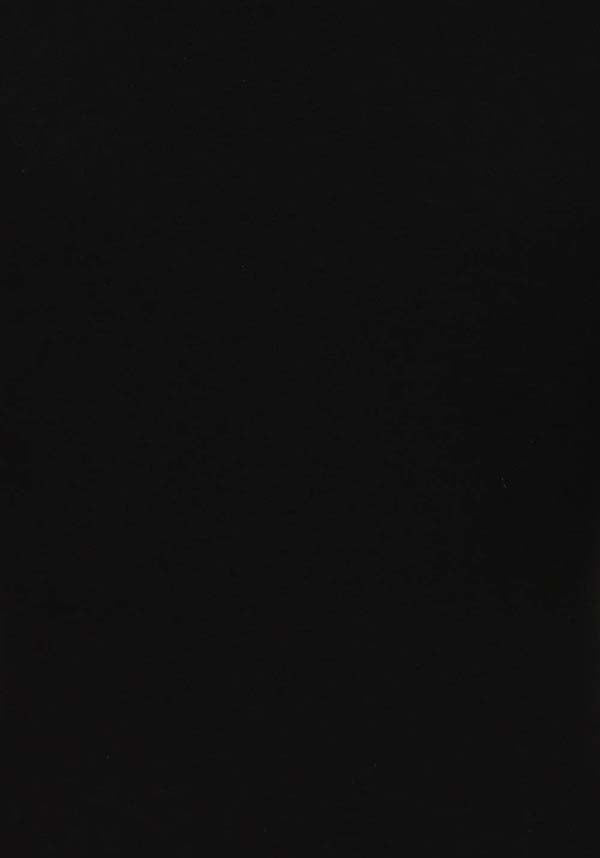 Dione Long Sleeve Lace Up Plunge | TOP*