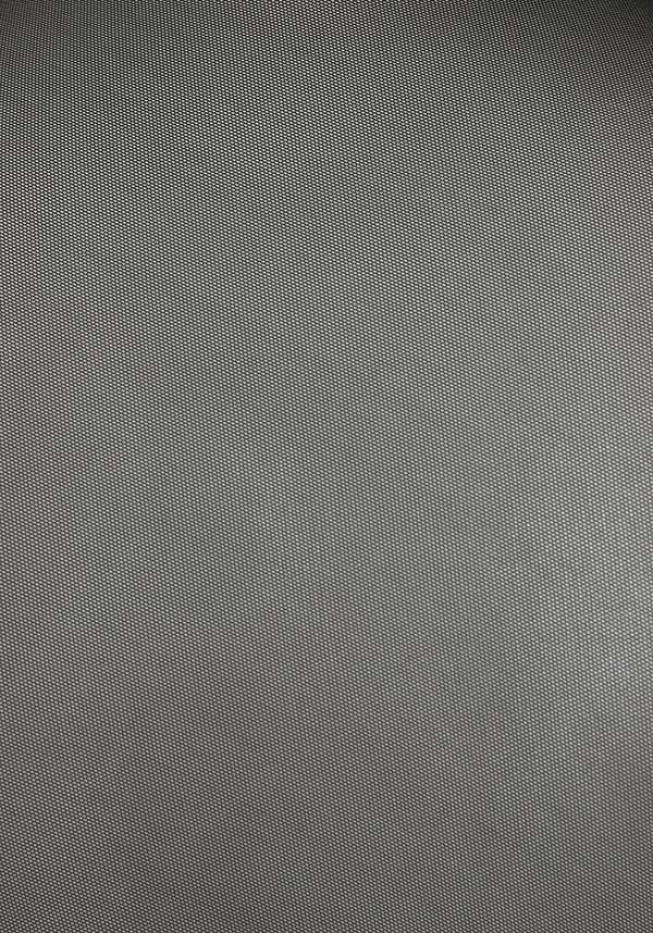 Minerva Mesh | LONG SLEEVE TOP*