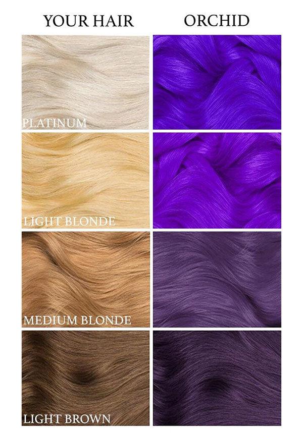 Orchid | HAIR DYE - Beserk - all, blue, bright, clickfrenzy15-2023, cosmetics, discountapp, dye, fp, hair, hair colour, hair dye, hair dyes, hair purple, labelvegan, LT3083, luna tides, lunar tides, mermaid, purple, rainbow, vegan