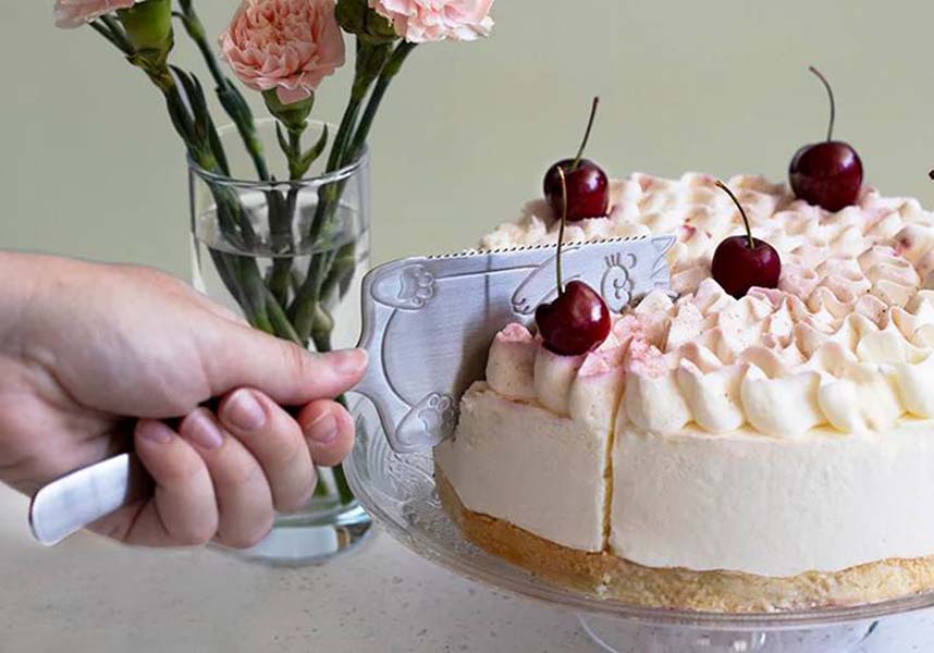 Cakitty | CAKE SERVER*