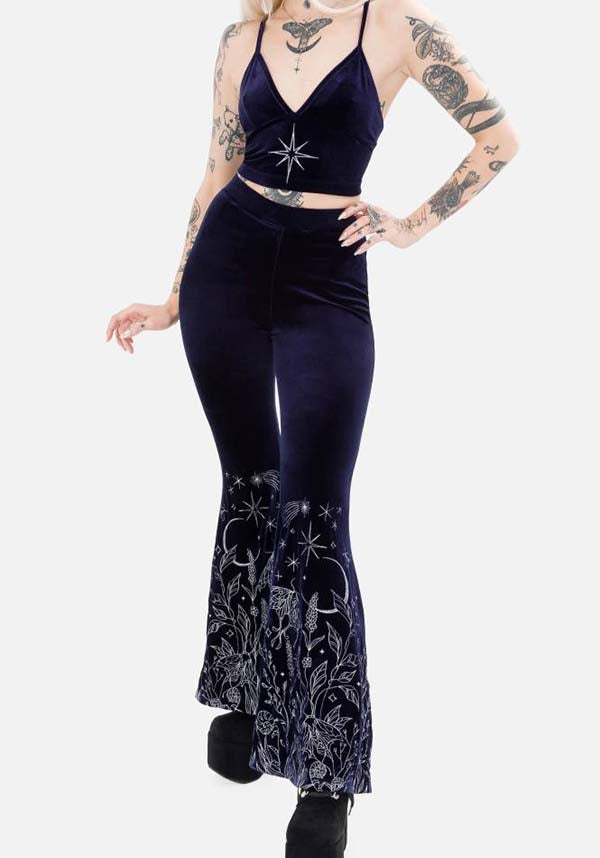 Cosmic Divinity | FLARES