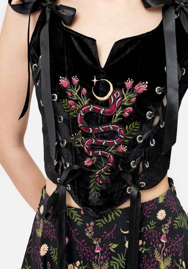 Enchanted Encounters | CORSET TOP