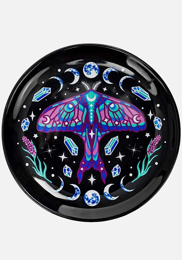 Enchanted Forest | SAUCER