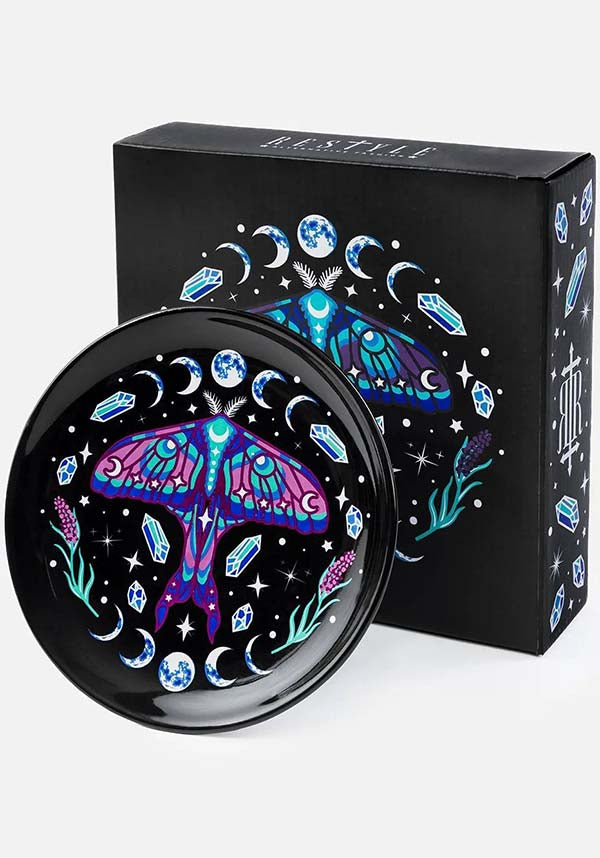 Enchanted Forest | SAUCER