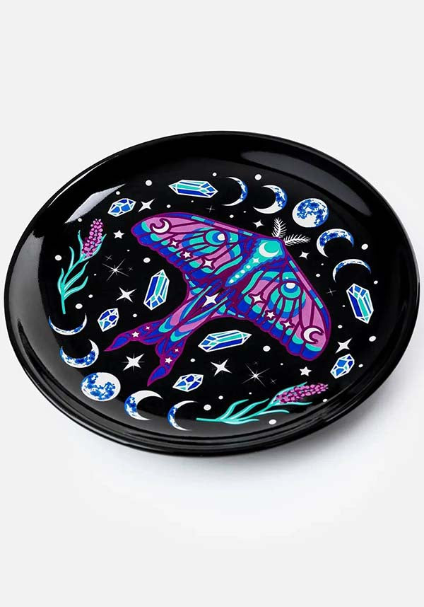 Enchanted Forest | SAUCER