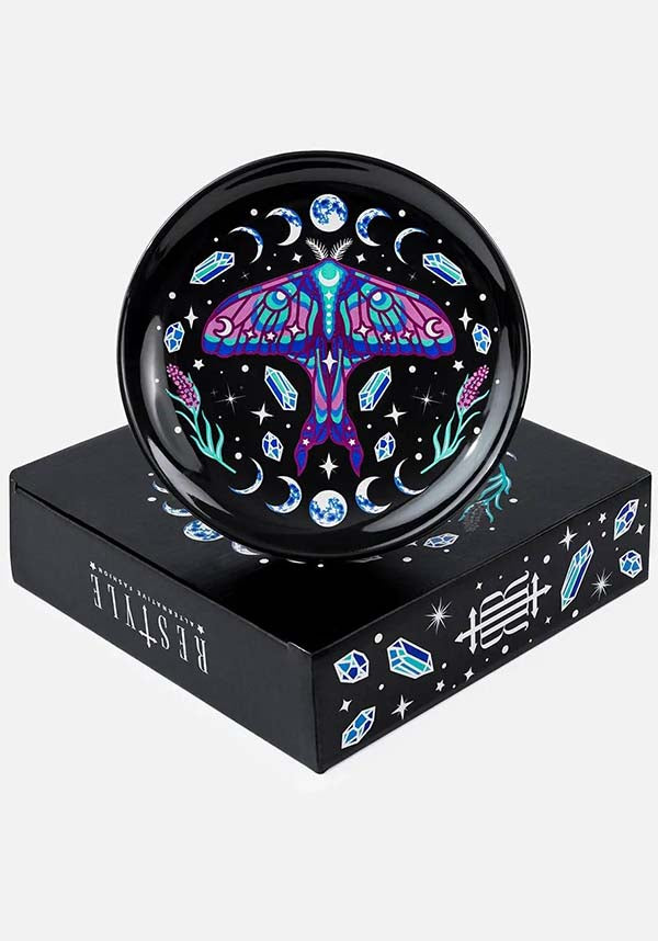 Enchanted Forest | SAUCER