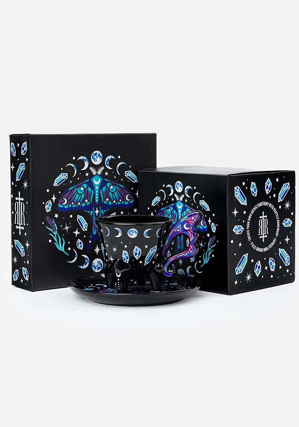 Enchanted Forest | SAUCER