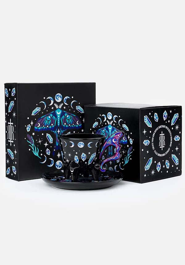 Enchanted Forest | TEACUP