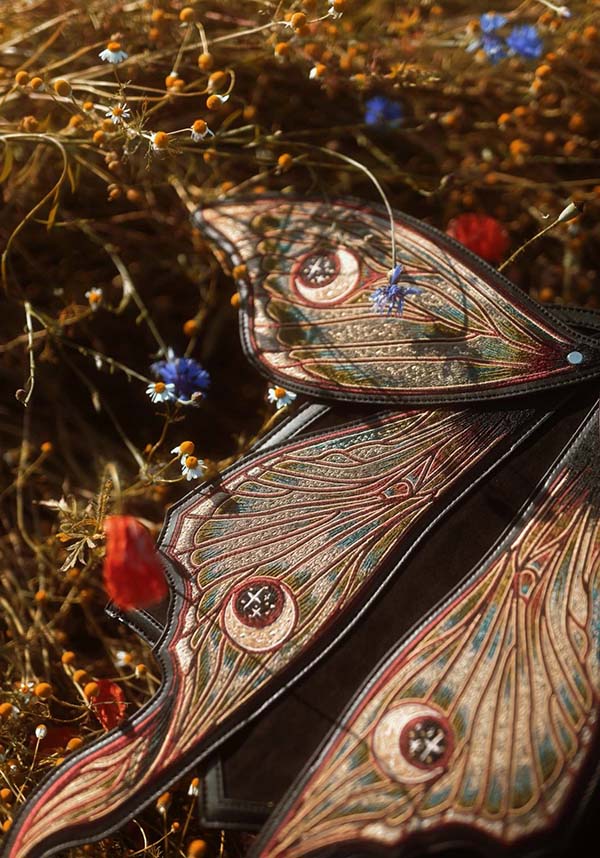 Metamorphosis | BACKPACK