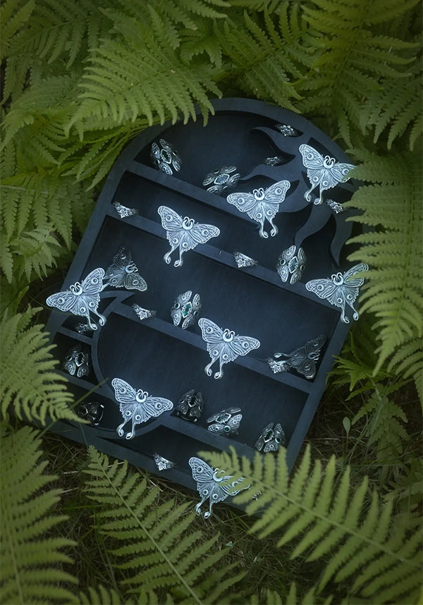 Nocturnal Moth | RING