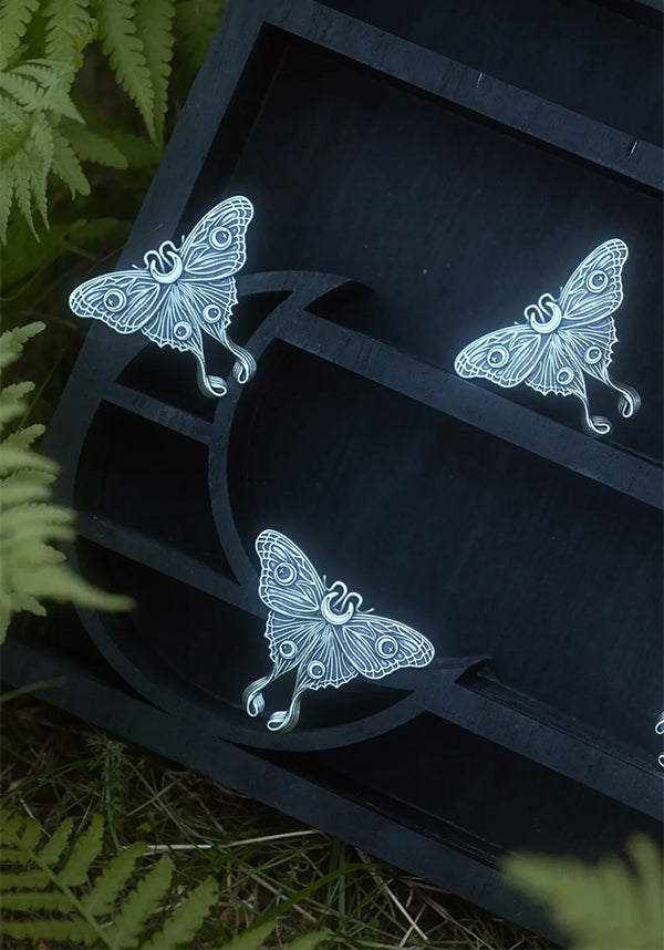 Nocturnal Moth | RING