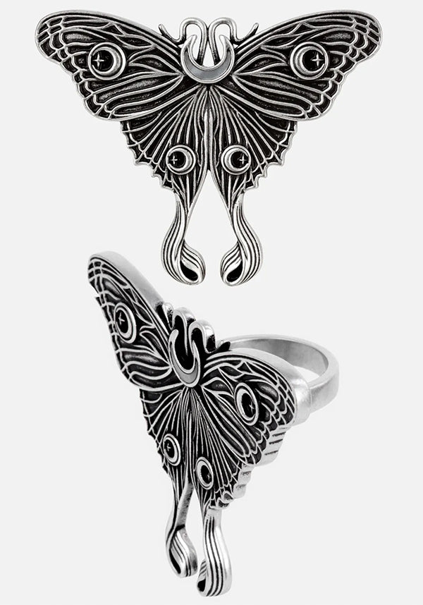 Nocturnal Moth | RING