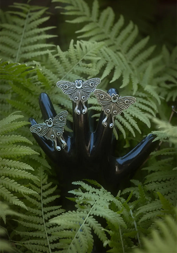 Nocturnal Moth | RING