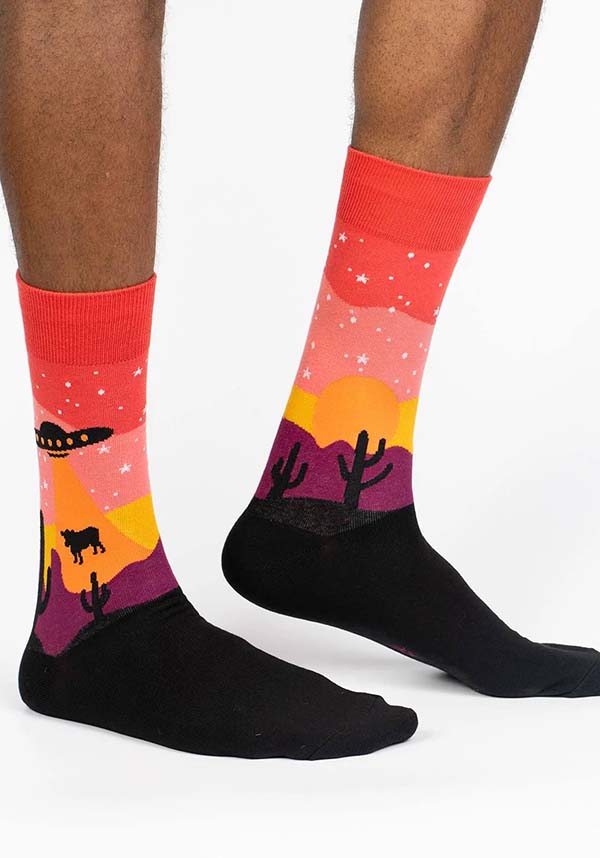 Area 51 | CREW SOCKS MENS