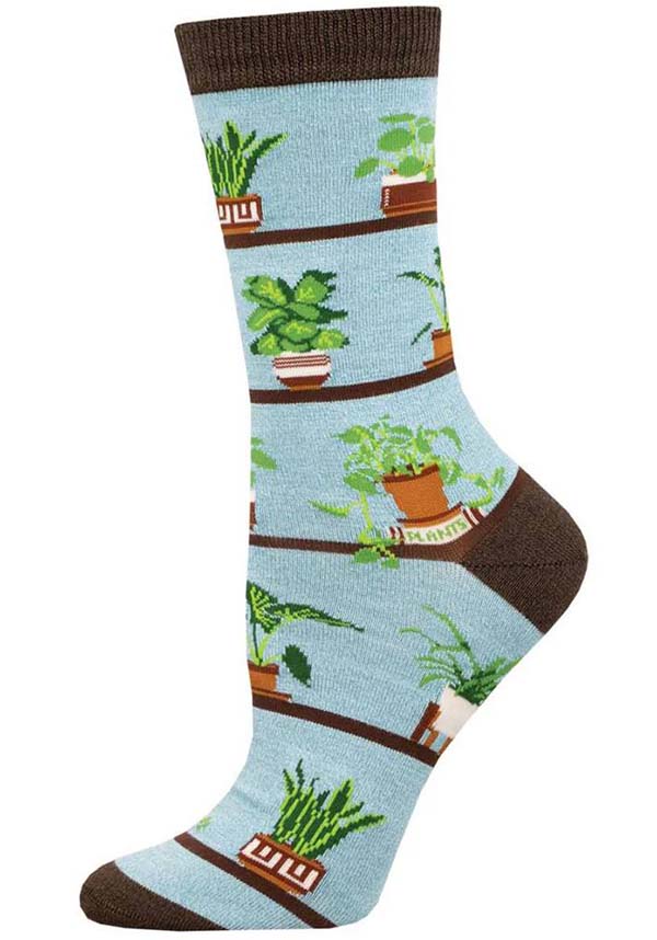 Bamboo Houseplants | SOCKS*