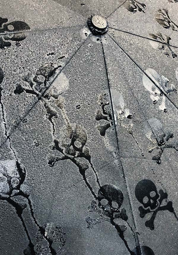 Skull | UMBRELLA