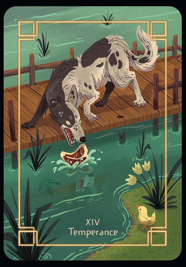 The Storyteller's | 78 CARD DECK & GUIDEBOOK