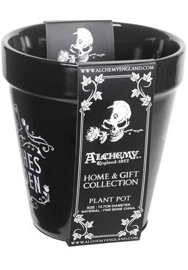 Witches Garden | PLANT POT - Beserk - AGQGUSSZECY, all, black cat, cat, cats, clickfrenzy15-2023, discountapp, fp, gift, gift idea, gift ideas, gifts, googleshopping, goth homeware, gothic gifts, gothic homeware, gothic homewares, halloween homeware, halloween homewares, homeware, homewares, mar23, mens gift, mens gifts, mothersdayplant, office homewares, plant, planter, plants, pot plant, R150323, witch, witchcraft, witches, witchy
