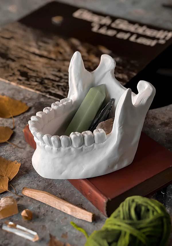 Ossuary | CATCH ALL BOWL" - Beserk - all, apr23, bones, bowl, christmas gift, christmas gifts, discountapp, fp, gift, gift idea, gift ideas, gifts, googleshopping, goth, goth homeware, goth homewares, gothic, gothic gifts, gothic homeware, gothic homewares, halloween homeware, halloween homewares, homeware, homewares, jewellery box, killstar, KS1071044, mens gift, mens gifts, mens valentines gifts, office homewares, R230423, skull and bones, valentines gifts, white