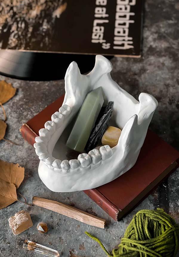 Ossuary | CATCH ALL BOWL" - Beserk - all, apr23, bones, bowl, christmas gift, christmas gifts, discountapp, fp, gift, gift idea, gift ideas, gifts, googleshopping, goth, goth homeware, goth homewares, gothic, gothic gifts, gothic homeware, gothic homewares, halloween homeware, halloween homewares, homeware, homewares, jewellery box, killstar, KS1071044, mens gift, mens gifts, mens valentines gifts, office homewares, R230423, skull and bones, valentines gifts, white