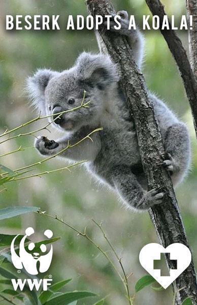 BESERK ADOPTS A KOALA! - Beserk