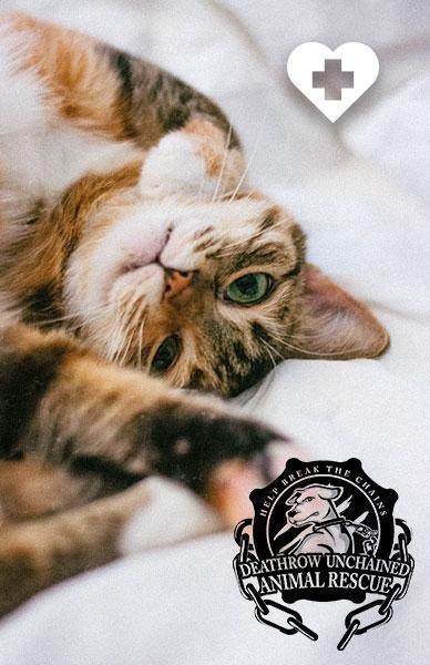 DEATHROW UNCHAINED ANIMAL RESCUE - Beserk
