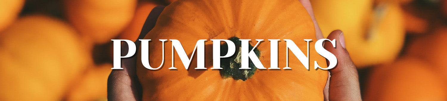 PUMPKINS