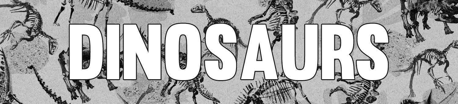 DINOSAUR HOMEWARE & ACCESSORIES - Beserk