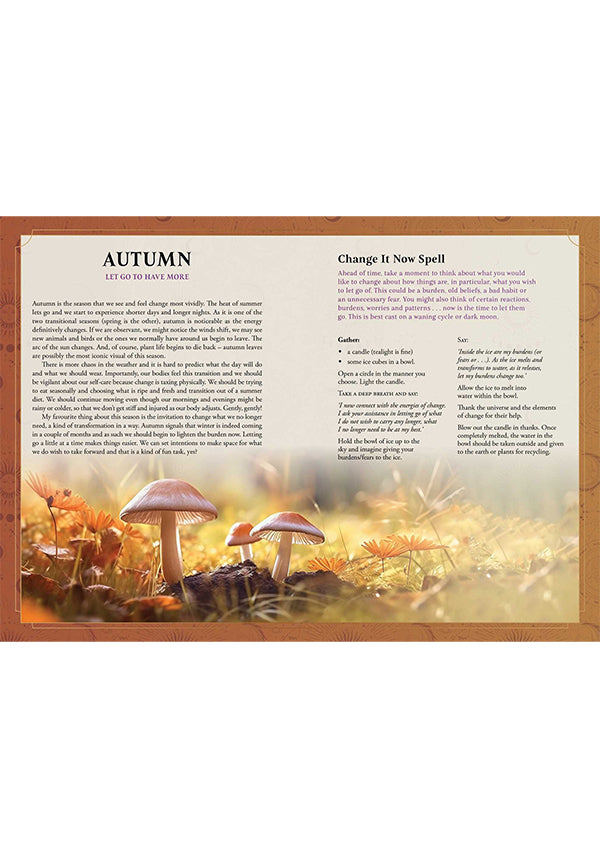 2026 Lunar & Seasonal [Southern] | DIARY