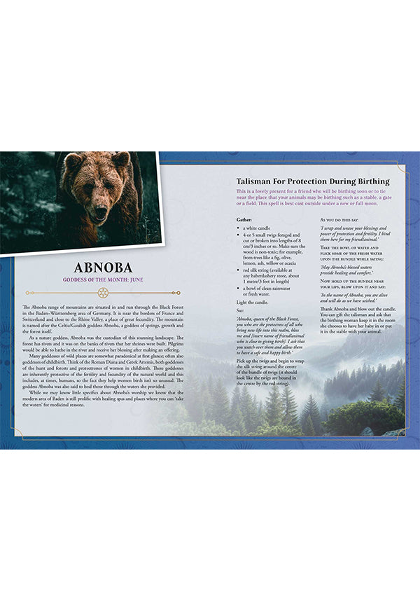 2026 Lunar & Seasonal [Southern] | DIARY