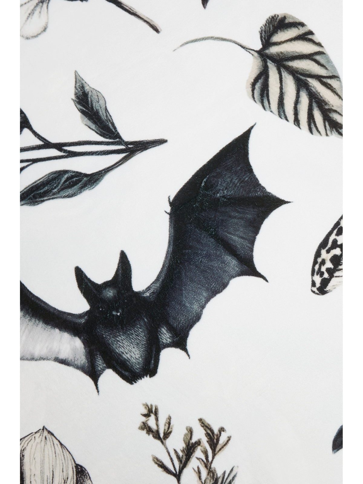 Blackthorn | BLANKET