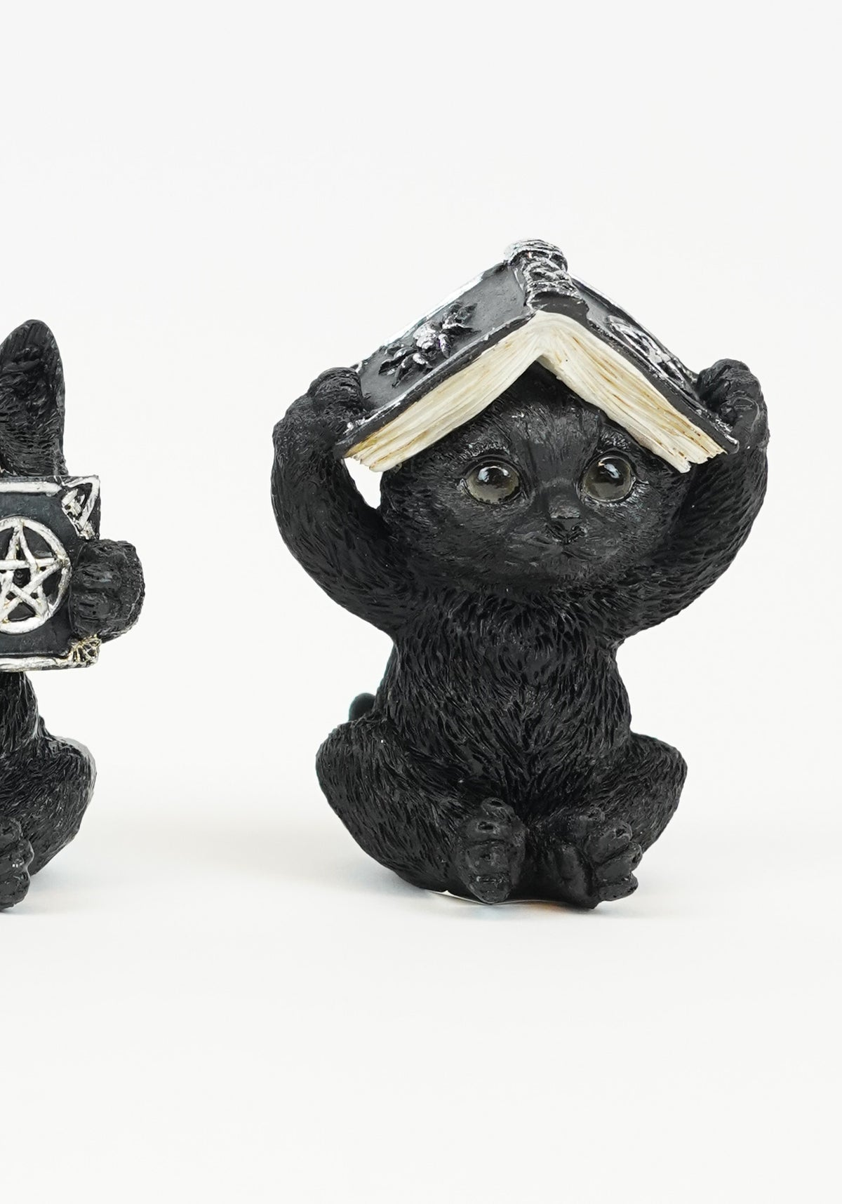 Black Wise | CATS [With Spell Book]
