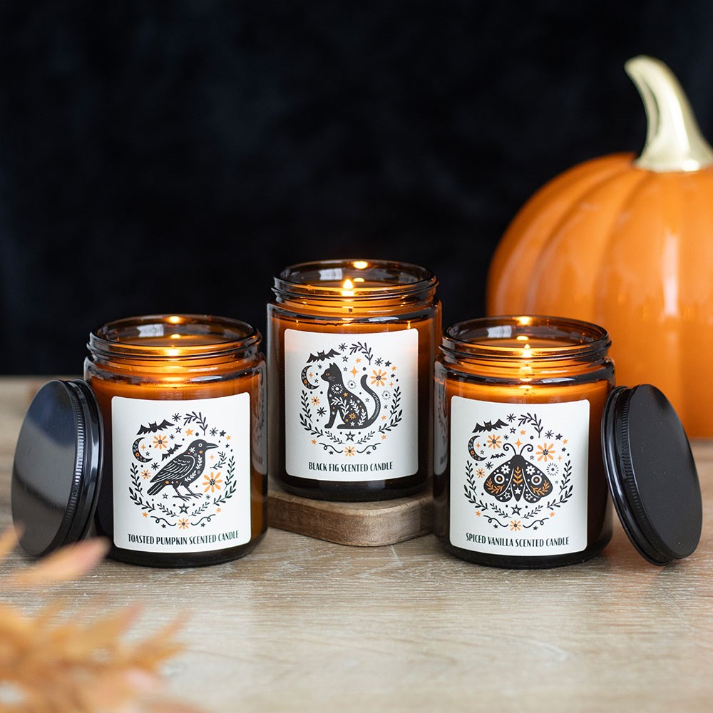 Frightful Folk Moth [Spiced Vanilla] | CANDLE