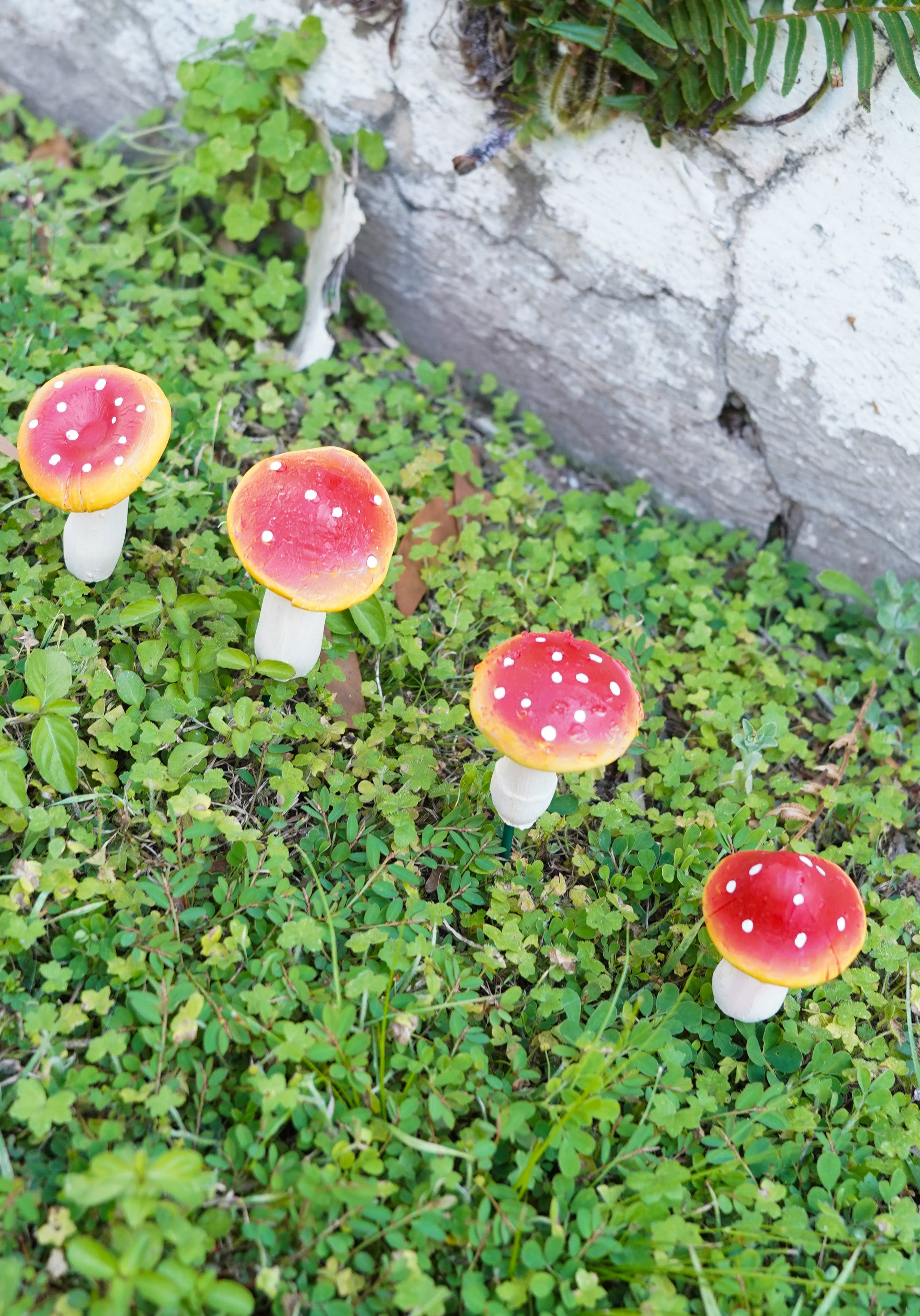 Mushrooms [SET 4] | GARDEN STAKES