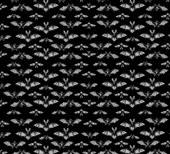 Midnight Flight [Rod Pocket] | BLACKOUT CURTAIN