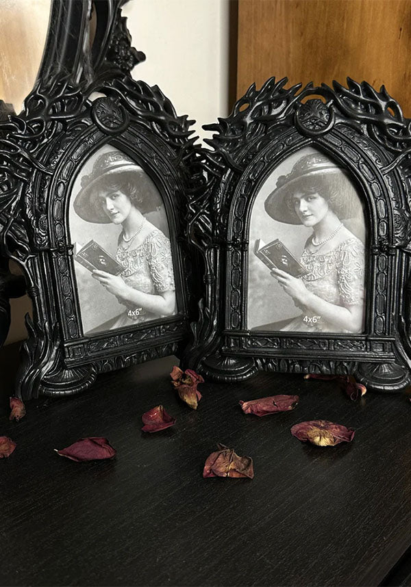 Black Forest | FRAME SET
