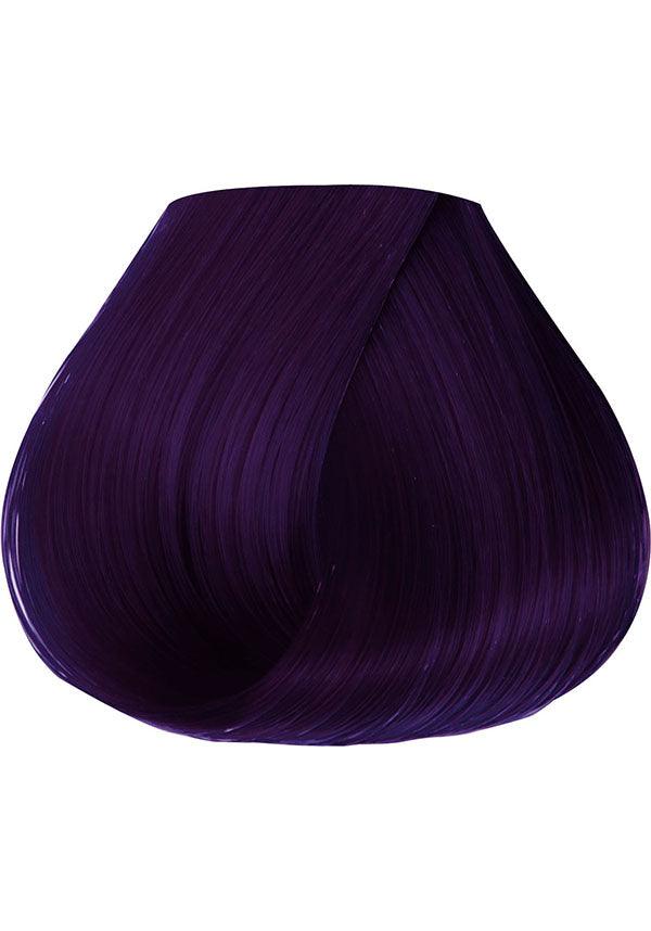 Rich Eggplant Semi Permanent | HAIR COLOUR - Beserk - all, beserkstaple, clickfrenzy15-2023, cpgstinc, cruelty free, dark purple, discountapp, dye, dyes, fp, goth, hair, hair colour, hair colours, hair dye, hair dyes, hair products, hair purple, hair violet, jun20, labelvegan, manduimports, purple, vegan