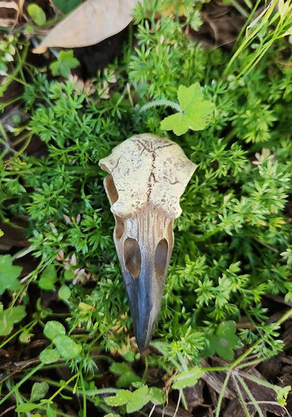 Small Raven | SKULL
