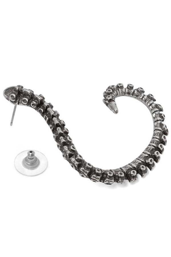 Spine | EARWRAP