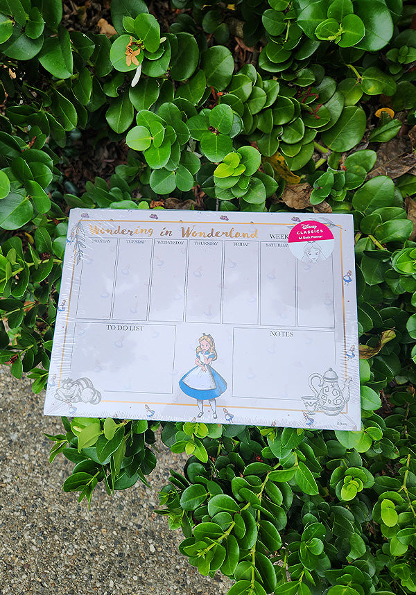 Alice in Wonderland: Wondering | A4 DESK PAD