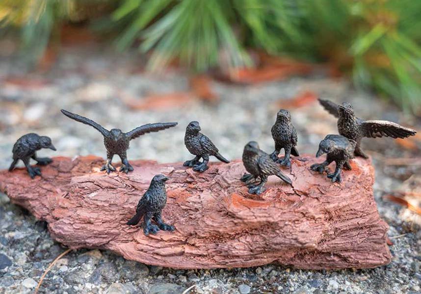 Itty Bitty | CROWS
