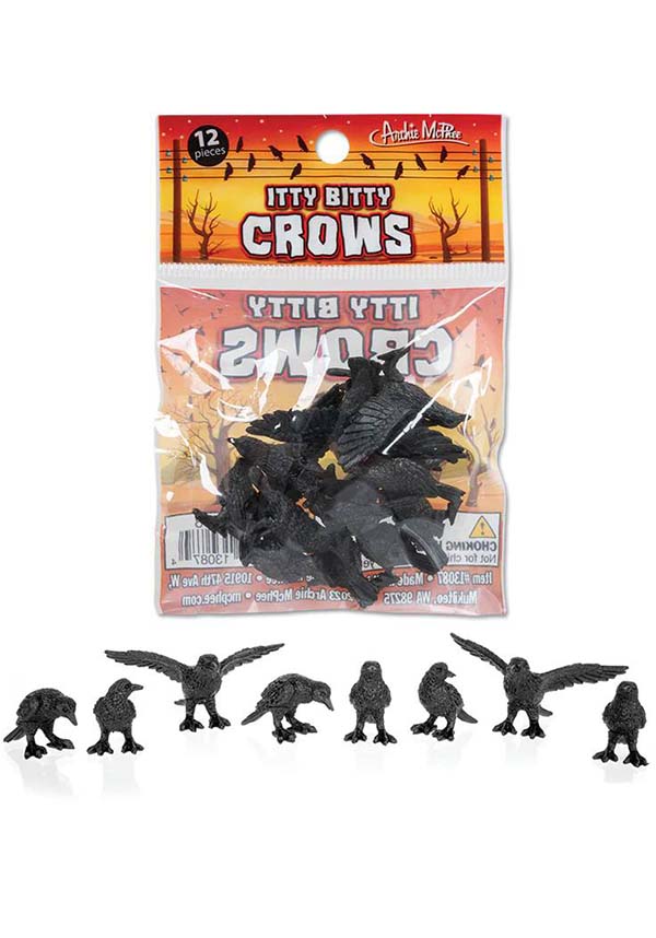 Itty Bitty | CROWS
