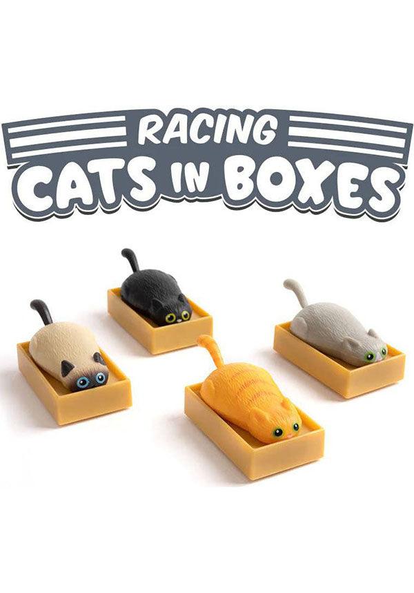 Racing | CATS IN BOXES - Beserk - ACD14771, all, box, cat, cats, christmas gift, christmas gifts, clickfrenzy15-2023, discountapp, figure, figures, fp, gift, gift idea, gift ideas, gifts, googleshopping, kids gift, kids gifts, kids toy, mens gift, mens gifts, novelty, R070922, race, racing, sep22, toy, toys, vinyl figure, vinyl figures, vinyl toy, vinyl toys