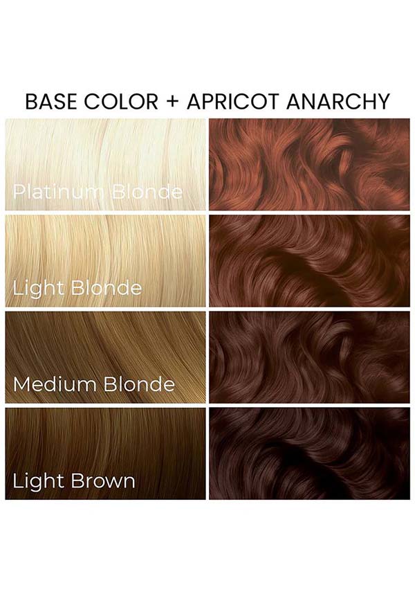 Arctic Fox Apricot Anarchy - Lifestyle Shot