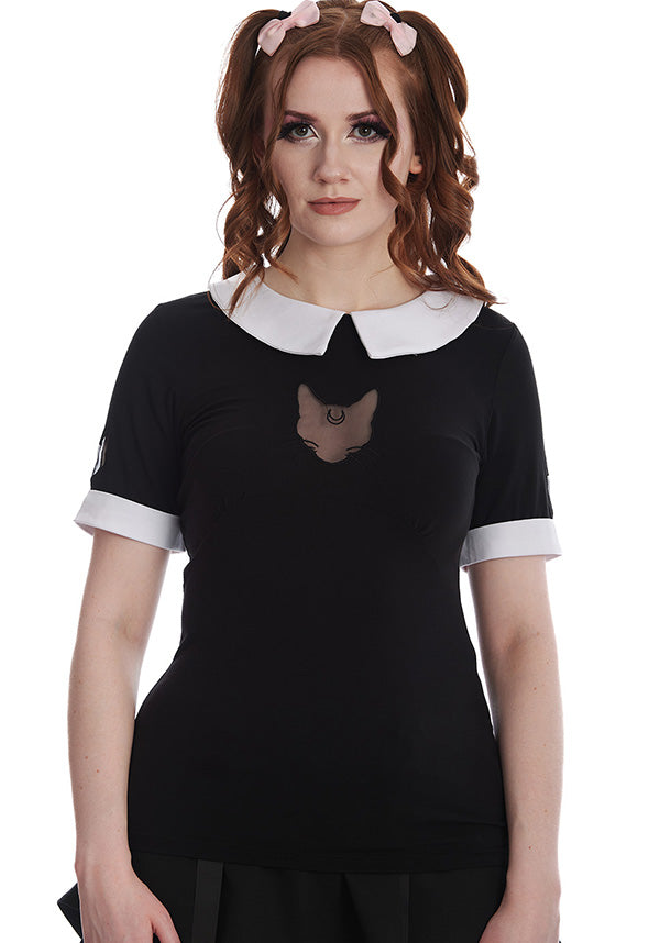 Darkness Cat | TOP