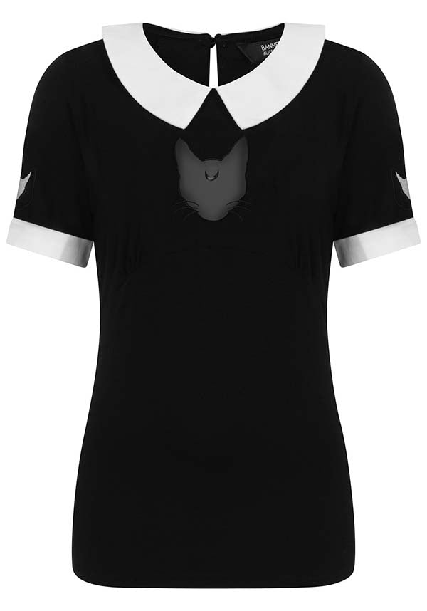 Darkness Cat | TOP