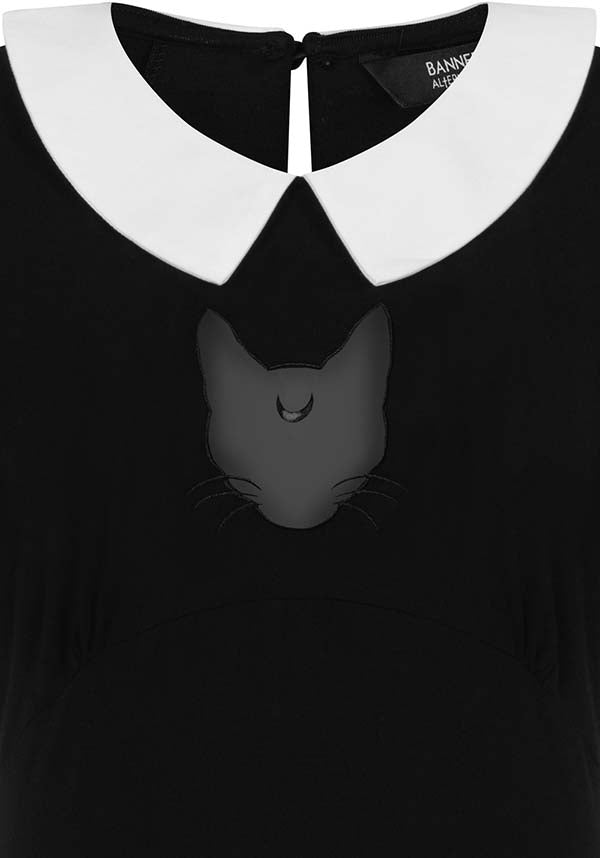 Darkness Cat | TOP
